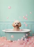 carino barboncino cane nel un' piccolo vasca da bagno con sapone schiuma e bolle, carino pastello colori, generativo ai. foto