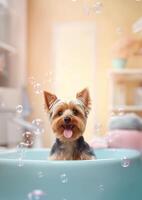 carino yorkshire terrier cane nel un' piccolo vasca da bagno con sapone schiuma e bolle, carino pastello colori, generativo ai. foto