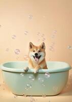 carino shiba inu cane nel un' piccolo vasca da bagno con sapone schiuma e bolle, carino pastello colori, generativo ai. foto