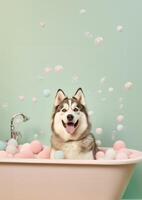 carino alaskan malamute cane nel un' piccolo vasca da bagno con sapone schiuma e bolle, carino pastello colori, generativo ai. foto