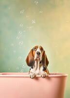 carino bassetto cane da caccia cane nel un' piccolo vasca da bagno con sapone schiuma e bolle, carino pastello colori, generativo ai. foto