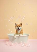 carino shiba inu cane nel un' piccolo vasca da bagno con sapone schiuma e bolle, carino pastello colori, generativo ai. foto