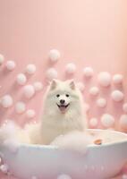 carino Samoiedo cane nel un' piccolo vasca da bagno con sapone schiuma e bolle, carino pastello colori, generativo ai. foto