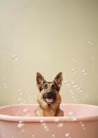 carino Tedesco pastore cane nel un' piccolo vasca da bagno con sapone schiuma e bolle, carino pastello colori, generativo ai. foto