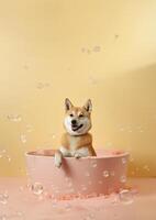 carino shiba inu cane nel un' piccolo vasca da bagno con sapone schiuma e bolle, carino pastello colori, generativo ai. foto