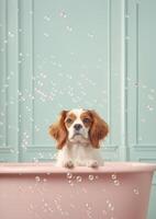 carino cavaliere re charles spaniel cane nel un' piccolo vasca da bagno con sapone schiuma e bolle, carino pastello colori, generativo ai. foto