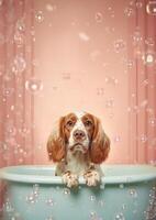 carino inglese cocker spaniel cane nel un' piccolo vasca da bagno con sapone schiuma e bolle, carino pastello colori, generativo ai. foto