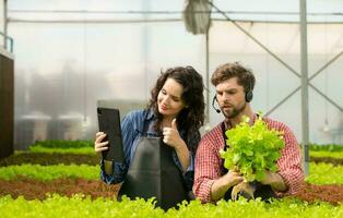 Due piccolo uomini d'affari biologico verdura giardino proprietario attualmente introducendo i clienti e mostrando loro il suo biologico verdura giardino attraverso in linea sistema. foto