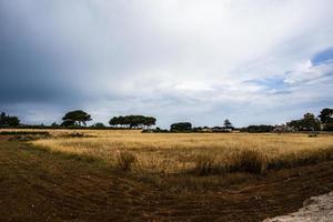 2021 05 29 marsala scorci di città 1 foto