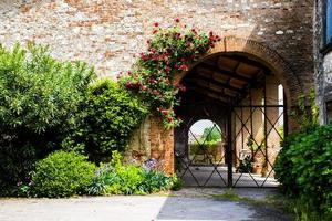 fiori sul vecchio muro di pietra foto