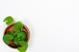 superiore Visualizza su tavolo centella asiatica le foglie con isolato su bianca sfondo foto