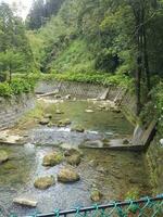 in profondità montagna natura torrente e foresta foto