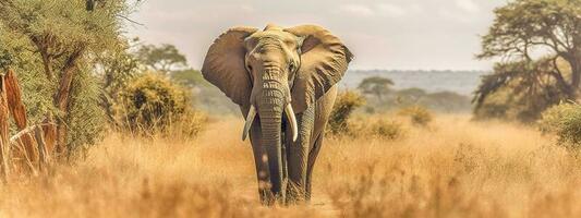 maestoso elefante nel Africa savana, fatto con generativo ai foto