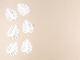 foglie di carta monstera bianche su sfondo beige con spazio di copia.