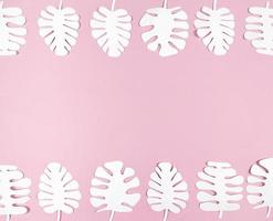 foglie di carta monstera bianche su sfondo rosa con spazio di copia. foto