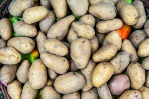 giovane patate nel un' cestino. Patata tuberi foto