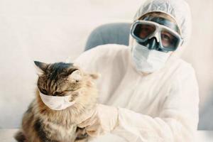 uomo in giacca e gatto con maschera medica foto