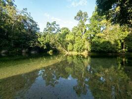 Babinda massi, Queensland, Australia foto