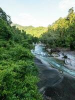 Babinda massi, Queensland, Australia foto