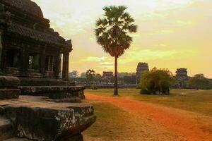 Angkor wat templi, Cambogia foto