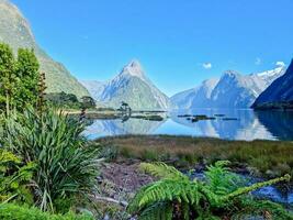 milford suono, terra del sud, nuovo Zelanda foto