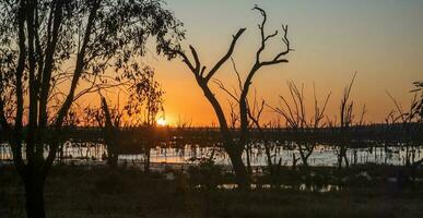 Winton zone umide, vittoria, Australia foto