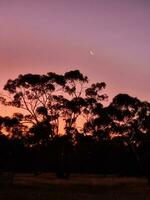 kiata campeggio, poco deserto, Australia foto