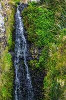 di Artù passaggio, ovest costa, nuovo Zelanda foto