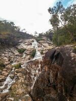 Smeraldo torrente cascate, Queensland Australia foto