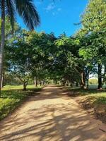 granito gola, Queensland Australia foto