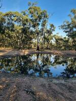 australiano entroterra natura selvaggia foto