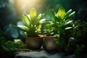 elegante composizione di casa giardino interno pieno un' lotto di impianti. casa giungla. generativo ai foto