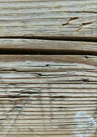 Vintage ▾ naturale legna struttura. sfondo foto