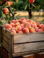 maturo Pesche nel un' di legno scatola su un' sfondo di il giardino. spazio per testo, verticale, modello, generativo ai foto