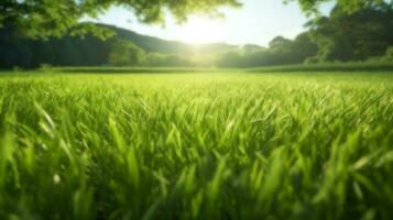 sfocato verde campo con mattina illuminazione. natura sfondo con freschezza e riscaldamento sensazione. generativo ai foto