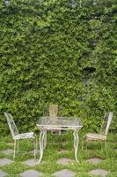 cortile verde inglese foto