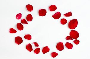 petalo di rosa isolato su uno sfondo bianco cuore rosso design foto