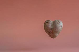 patate a forma di cuore su fondo rosa con effetto levitazione. il concetto di agricoltura, raccolta, vegetarianismo. foto