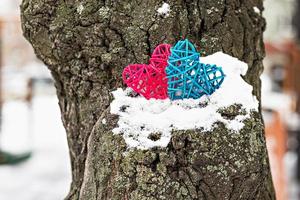 due cuori di rattan rosa e blu su un tronco d'albero innevato. il concetto di san valentino foto