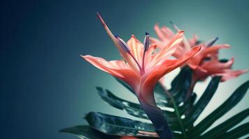 macro vicino su tiro di rosa giglio fiore e alcuni copia spazio su blu sfondo. ai generato foto