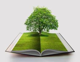 libro della natura isolato su bianco libro aperto nel concetto di riciclaggio della carta rendering 3d libro della natura con erba e crescita degli alberi su di esso su sfondo bianco blu foto