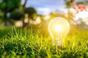 lampadine che brillano sull'erba verde, energia rinnovabile e concetti di conservazione della natura foto