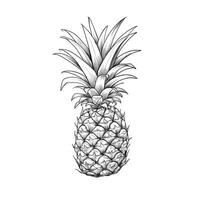 frutta ananas ai generato foto