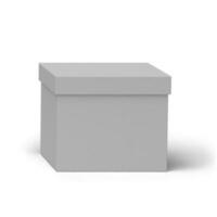 vuoto bianca regalo scatola isolato su bianca per presente concetto design. foto