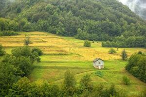 solo vecchio di legno Casa su un' collina nel un' montagna. idilliaco Visualizza foto