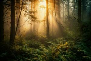 ai generato nebbioso foresta a alba, con un' nebbioso nebbia avvolgente il alberi e un' albero di luce del sole filtraggio attraverso il baldacchino. foto