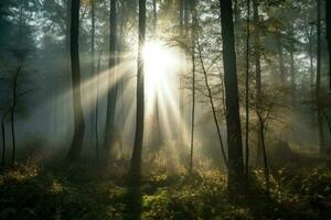 ai generato nebbioso foresta a alba, con un' nebbioso nebbia avvolgente il alberi e un' albero di luce del sole filtraggio attraverso il baldacchino. foto