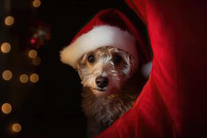 ai generato carino cane nel un' Santa costume emerge a partire dal un' portale, pronto per diffusione Natale allegria. foto