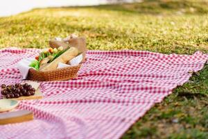 picnic pranzo pasto all'aperto parco con cibo picnic cestino. godendo picnic tempo nel parco natura all'aperto foto