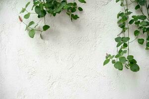 bianca cemento strutturato parete calcestruzzo pietra sfondo su impianti. bianca strutturato parete sfondo foto
